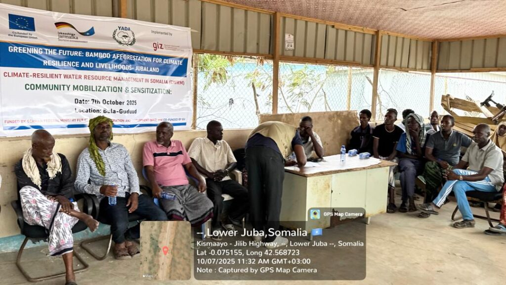 Greening the Future: Bamboo Afforestation for Climate Resilience and Livelihoods – Jubaland