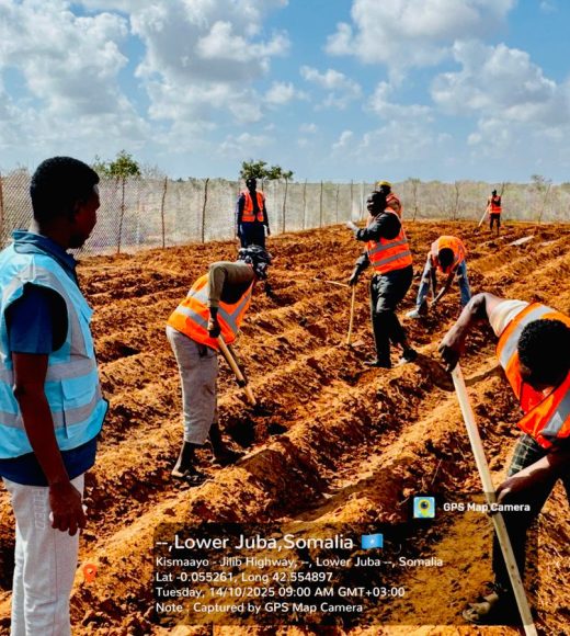 WhatsApp Image 2025-10-14 at 21.06.32_14c3249a